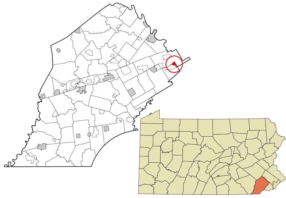 Professional Lawn Maintenance in Devon, PA