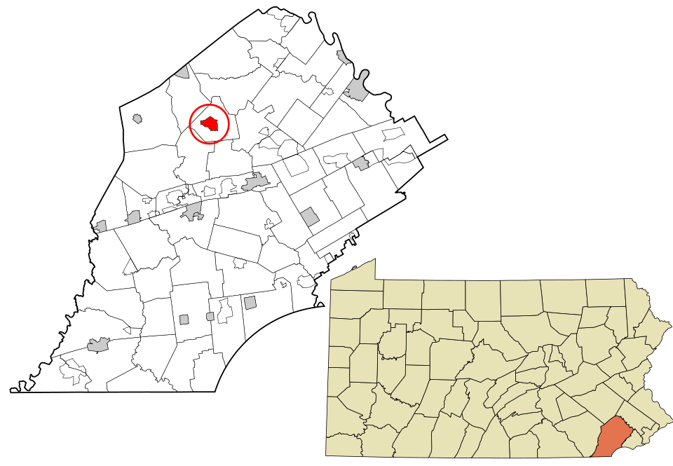 Professional Lawn Maintenance in Glenmoore, PA