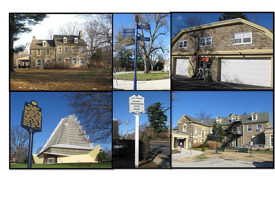 Professional Lawn Maintenance in Elkins Park, PA