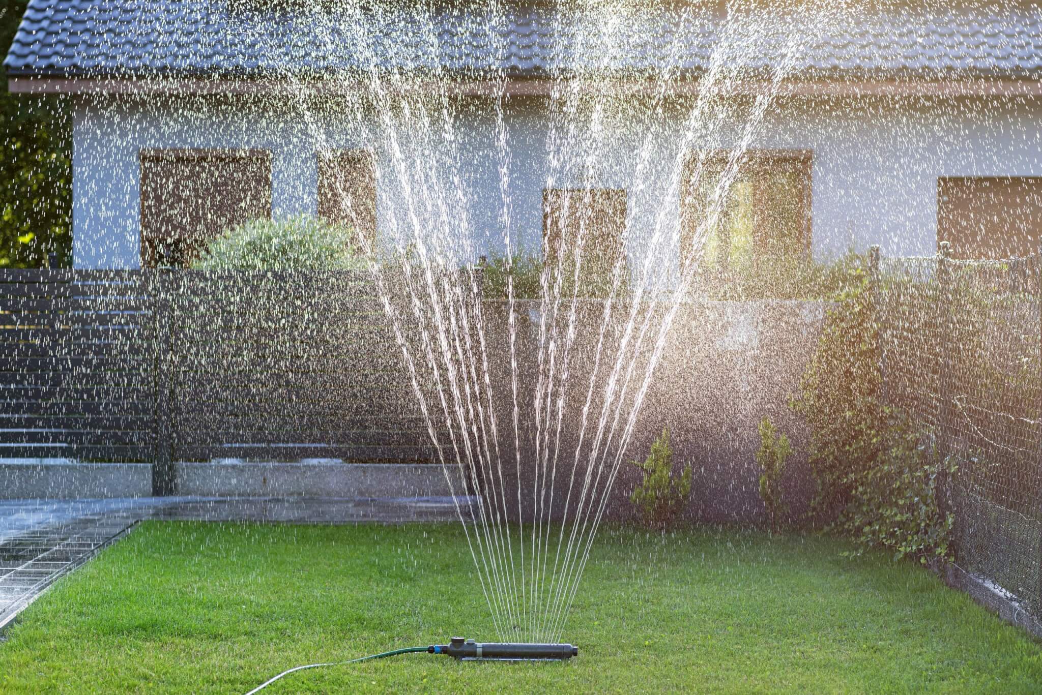 SHOULD I WATER LAWN AFTER APPLYING FERTILIZER visual data 2