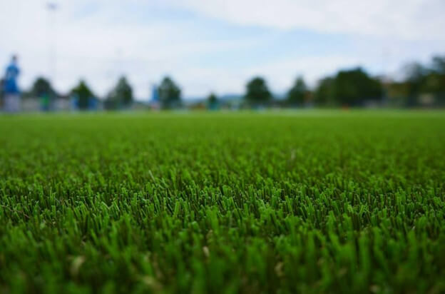 artificial turf for lawn - image