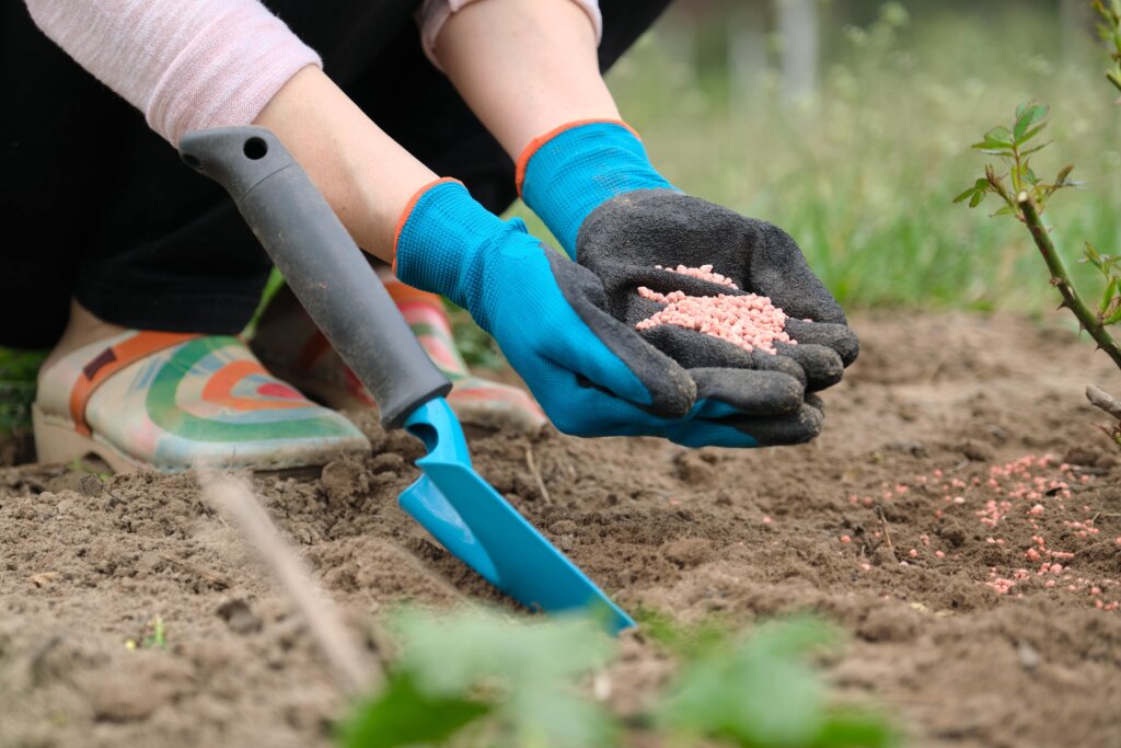 A person wearing blue and black gardening gloves is carefully spreading pink granular fertilizer onto dark soil with a small blue trowel lying nearby, highlighting the use of nitrogen fertilizer.