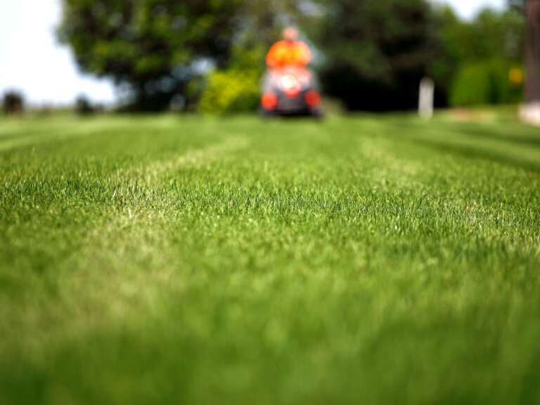 an inviting, green lawn representing the benefits of proper lawn aeration. Discover the many advantages of lawn aeration for achieving optimal health and beauty in your landscape.