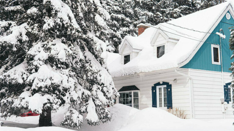 A serene winter landscape depicting a snow-covered area, symbolizing the necessity of effective snow and ice management strategies for safe and accessible commercial properties