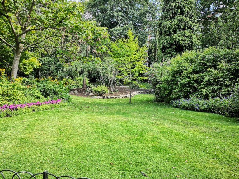 A vibrant, healthy lawn benefiting from the application of compost as a top dressing, showcasing its ability to enrich the soil and promote robust grass growth