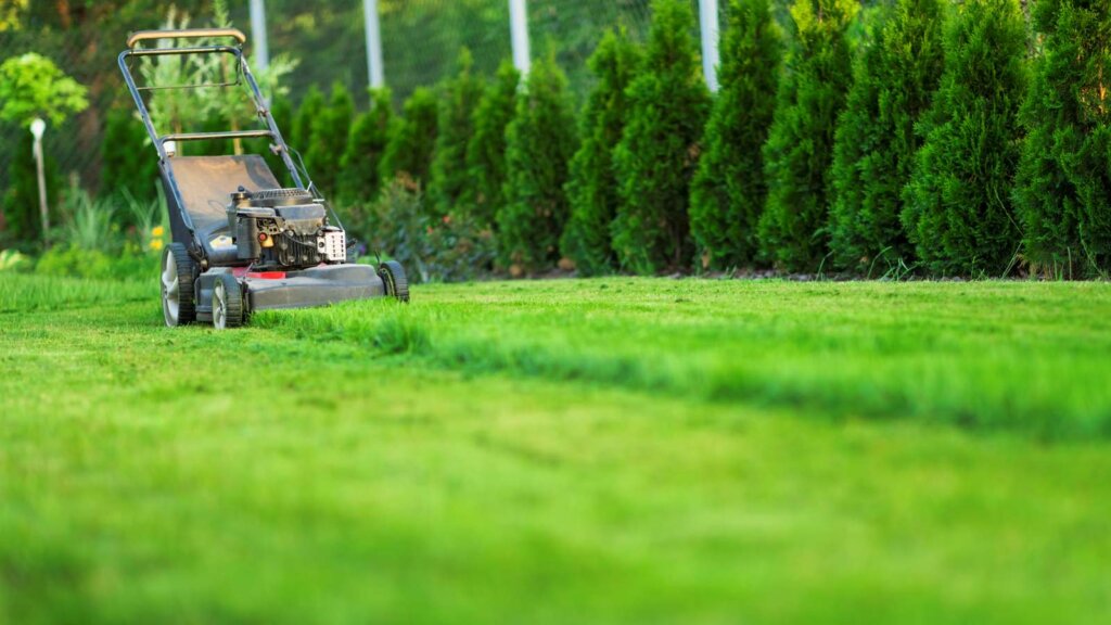 Push lawn mower cutting grass in a residential yard with neatly trimmed edges