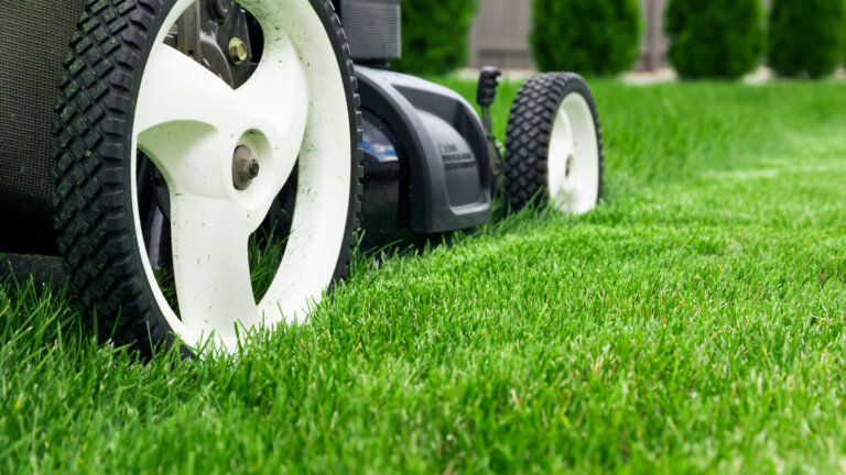 a awn mower on a lush, green lawn, symbolizing the topic of the blog post about avoiding lawn scalping and maintaining lawn health