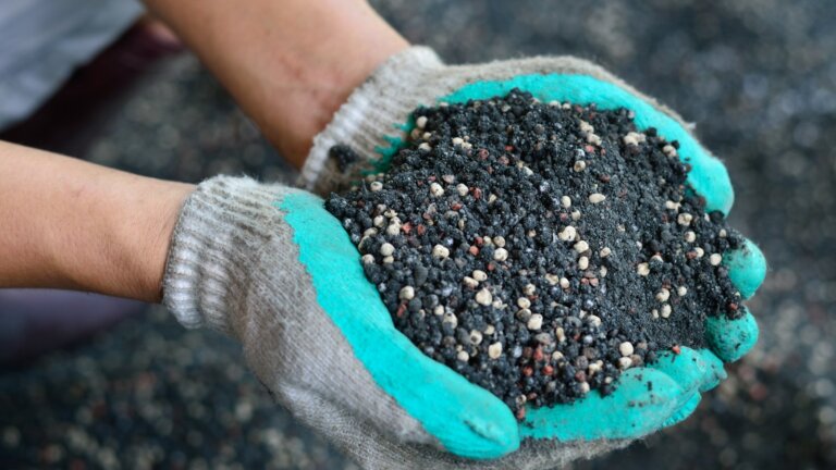 A close-up image of a farmer's hand holding a mix of plant chemical fertilizer and organic manure, symbolizing the balance of natural and synthetic nutrients used in lawn care