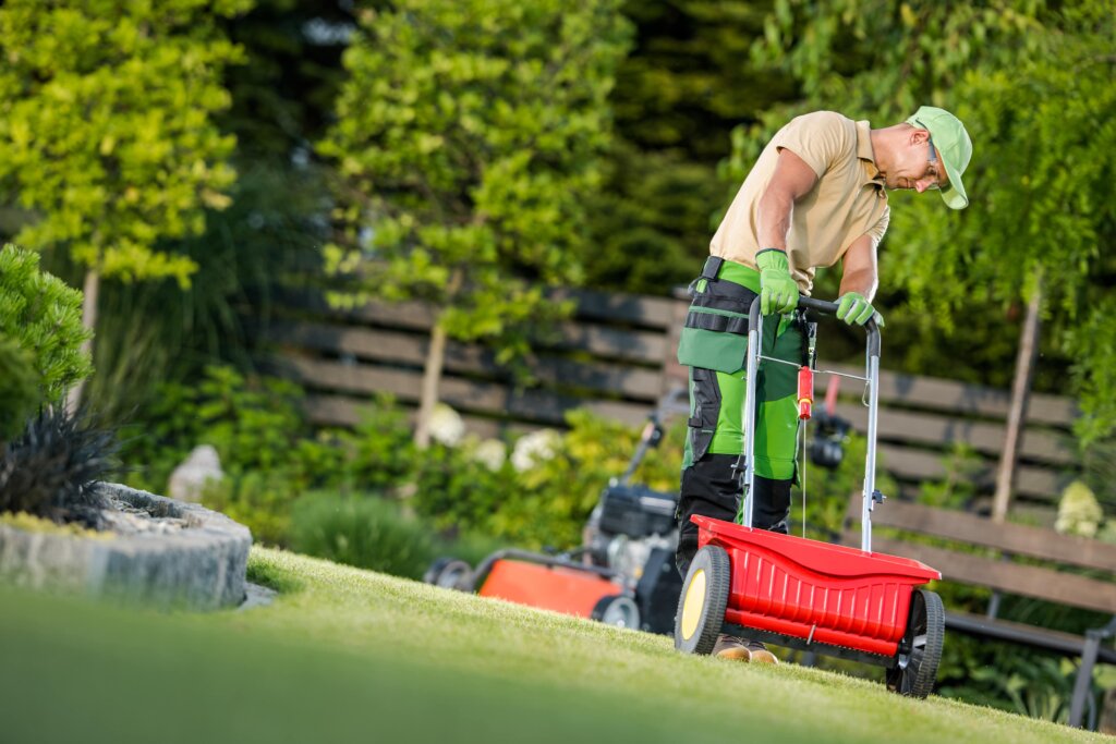  A man in a cap, t-shirt, and work pants pushing a red walk-behind fertilizer spreader up a green grassy incline, demonstrating correct fertilizer application.