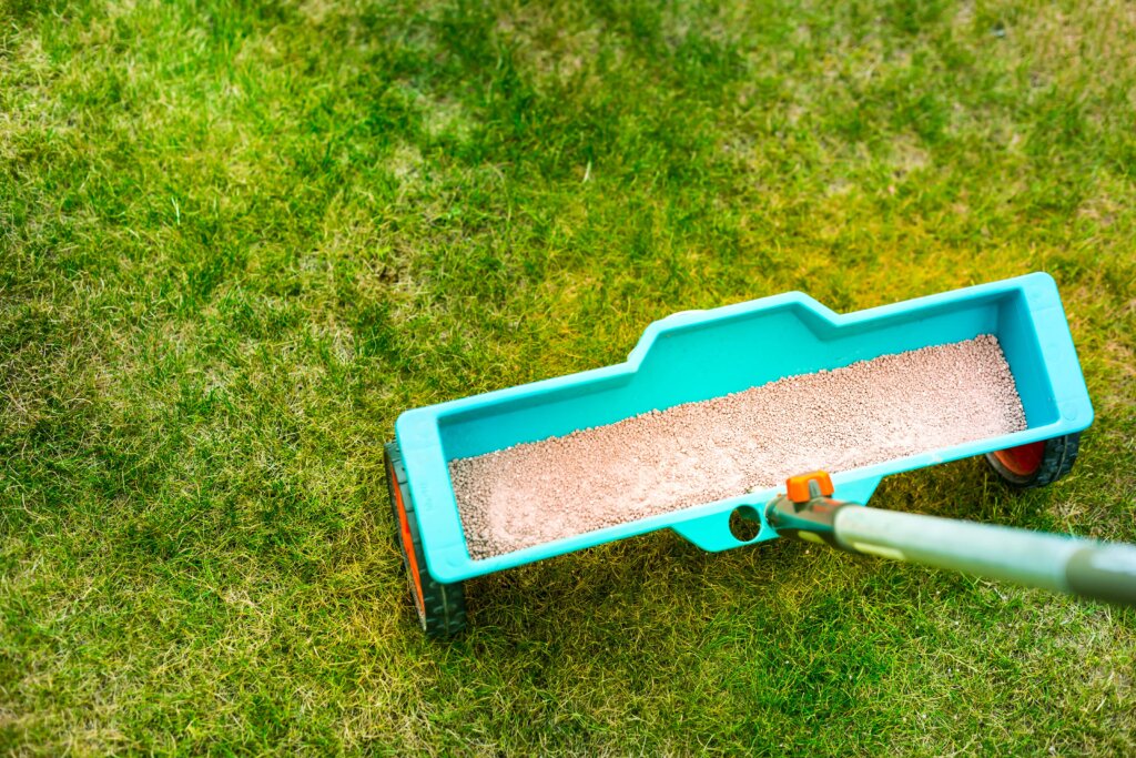 An overhead view of a blue tow-behind fertilizer spreader filled with light brown granular fertilizer sitting on a green lawn, representing the variety in fertilizer application materials.