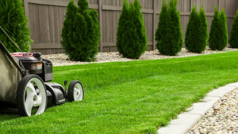 An image of a lawnmower cutting through lush green grass, with a neatly maintained garden border on the right and a row of small, verdant trees in front of a garden fence on the left, perfectly encapsulating the concept of a well-maintained and healthy landscape