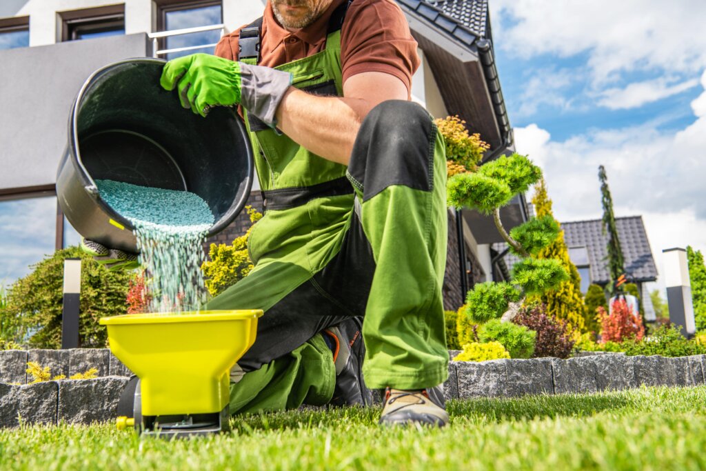 A person wearing green gloves and overalls kneels on a lawn, pouring granular fertilizer from a black bucket into a yellow spreader, following a lawn fertilizer schedule.