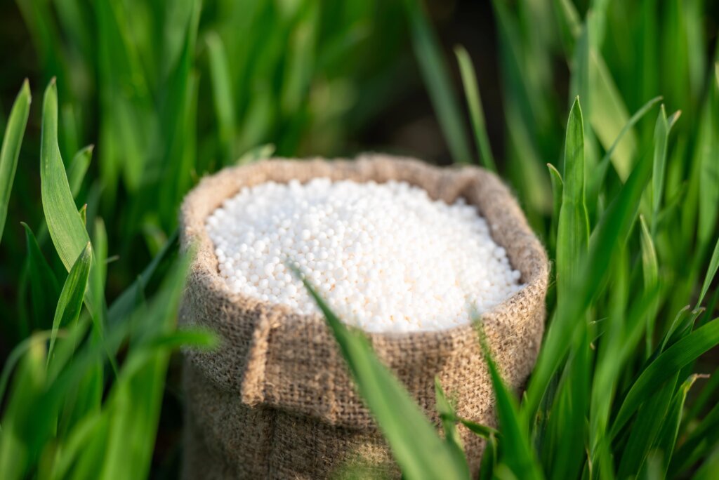 A white bag of fertilizer sits open in a green lawn, showing white granular fertilizer inside, representing a general-purpose blend like 10 10 10 fertilizer.