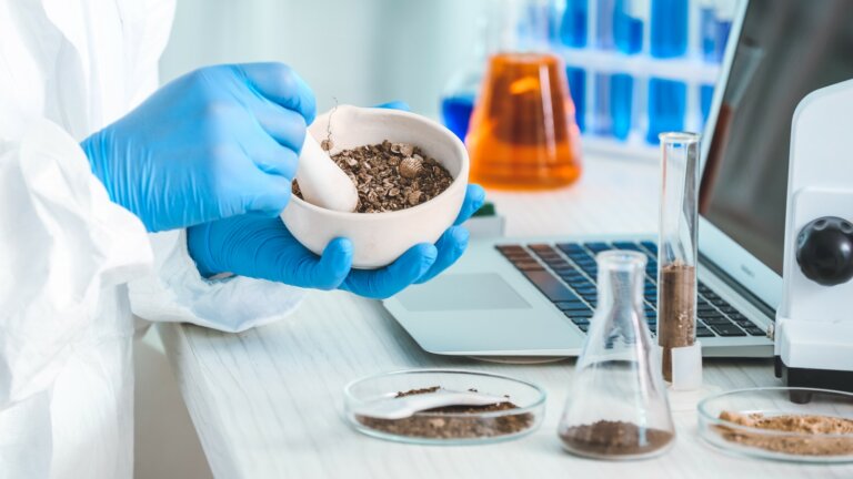 Scientist in a laboratory closely examining and analyzing soil samples for research purposes.