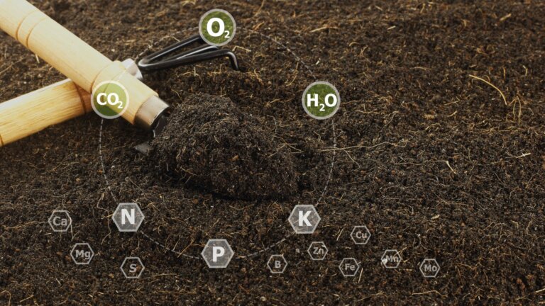 Image illustrating various types of ground and soil, marked with symbols representing the key nutrients Nitrogen, Phosphorus, and Potassium (NPK), highlighting the components of 10-10-10 fertilizer essential for plant growth