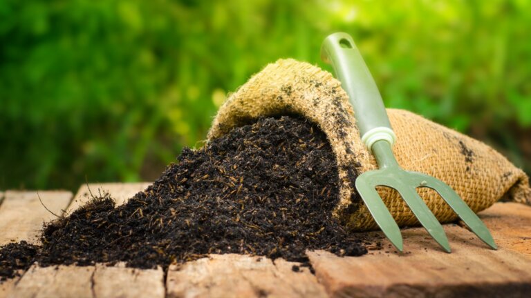 A bag of fertilizer prominently displayed against a vibrant green background, symbolizing the importance of fertilizers in promoting healthy plant growth and lush greenery.