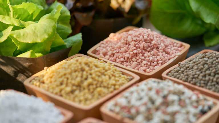 The featured image showcases six distinct types of chemical fertilizers, each contained in individual clay pots.