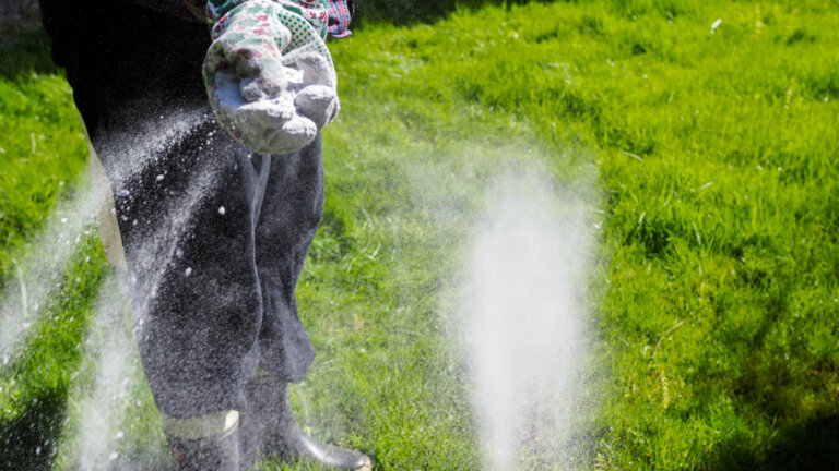 Close-up image of slow-release fertilizer granules with a vibrant, healthy lawn in the background, symbolizing the benefits of sustained nutrient release for lush greenery.