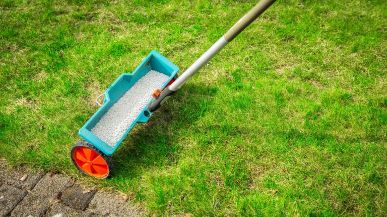 A fertilizer spreader filled with granular fertilizer is prominently displayed on a lush, green lawn, illustrating the article's focus on choosing the right type of fertilizer for optimal lawn care.