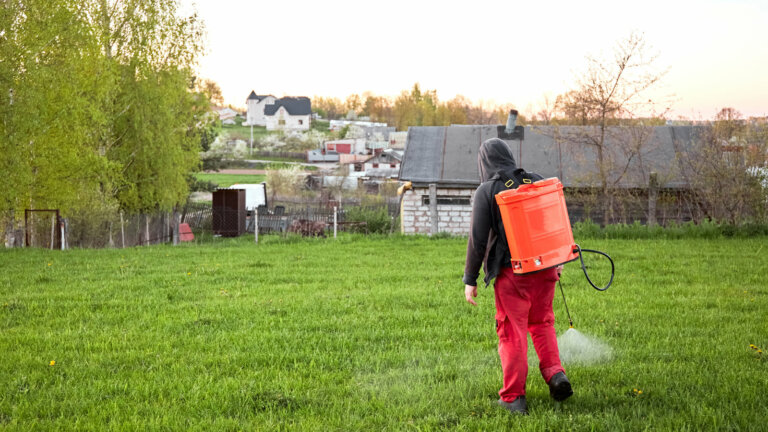 Photo of a farmer wearing protective clothing while spraying pesticide on a lawn field, corresponding with the topic of over-fertilization and lawn care