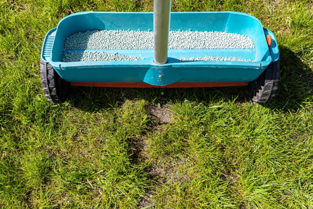 An overhead view of a blue fertilizer spreader filled with granular fertilizer sitting on a bright green lawn, demonstrating a step in how to fertilize lawn.