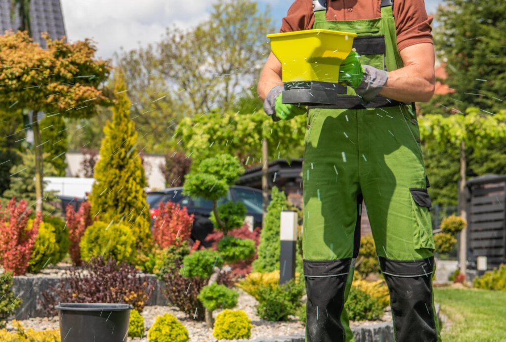A person in green overalls and gloves holding a yellow hand-held fertilizer spreader actively distributing granules across a landscaped yard, demonstrating how to fertilize lawn.