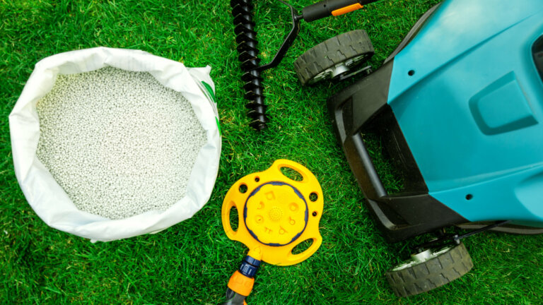 Top view of lawn care tools and equipment, essential for addressing and preventing over-fertilization, ensuring a lush and healthy green lawn.