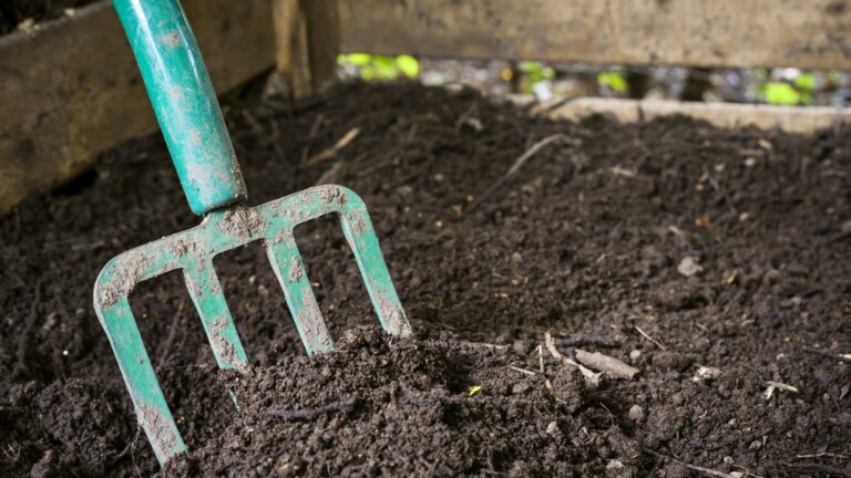 Organic compost being aerated with a garden fork promoting healthy lawn growth through natural fertilization methods.