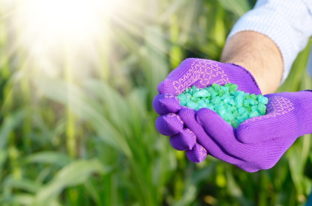 A gloved hand holding a handful of green granular fertilizer in bright sunlight against a blurred background of green plants, highlighting the necessary components of lawn fertilizer.