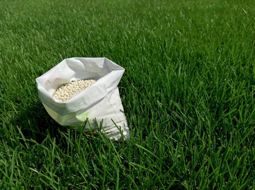 An open bag of granular fertilizer sits on a vibrant green, neatly trimmed lawn, symbolizing the importance of selecting the right lawn fertilizer.