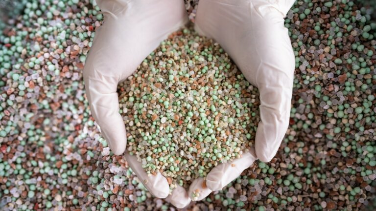 A focused image of hands clad in rubber gloves holding a handful of granular fertilizer, with a blurred background showing a large pile of fertilizer.