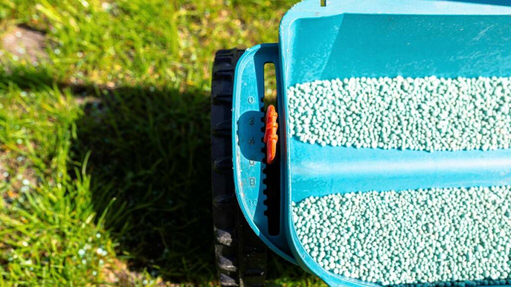A lawn spreader with granular fertilizer being used on a vibrant green lawn, representing a common form of 10-10-10.