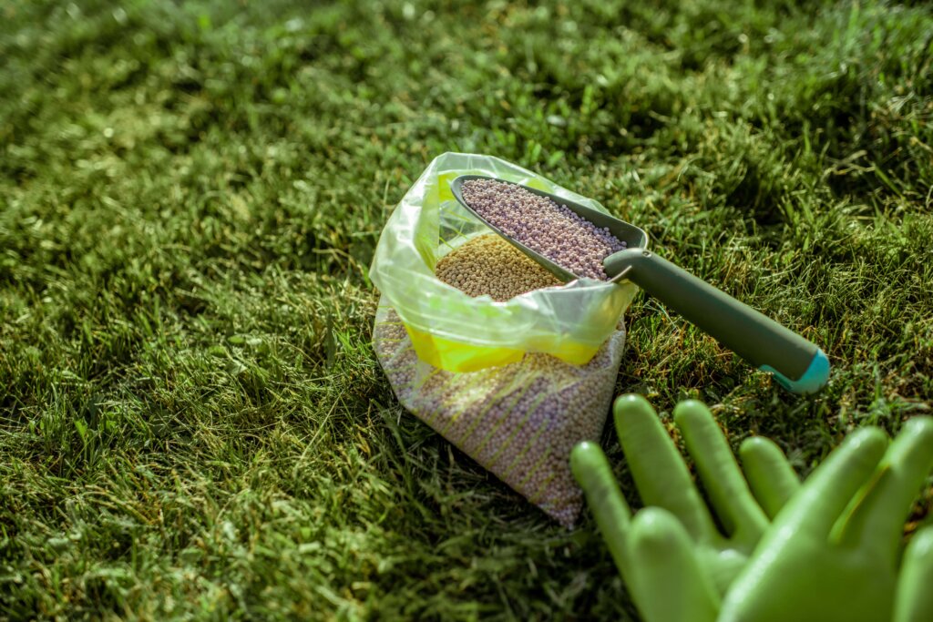 An open bag of granular lawn fertilizer with a scoop resting inside, next to green gardening gloves on a lush lawn, demonstrating elements of how to apply lawn fertilizer.
