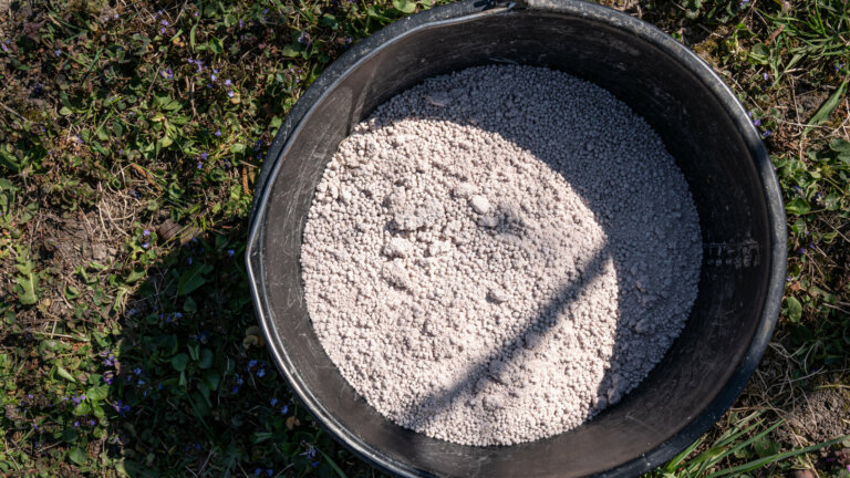 A bucket of granulated fertilizer placed on a grassy area with blooming flowers, ready to be spread for a healthier lawn