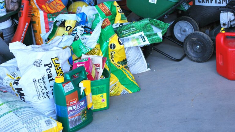 Various bags and bottles of lawn maintenance products including weed and feed, arranged next to a wheelbarrow in a garden shed, ready for application to enhance lawn health and appearance.