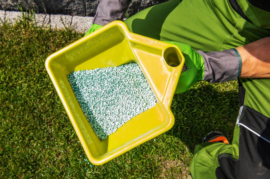An overhead view of a person in green pants and gloves holding a yellow hand spreader filled with light green granular fertilizer over a patch of grass, detailing how to use fertilizer.