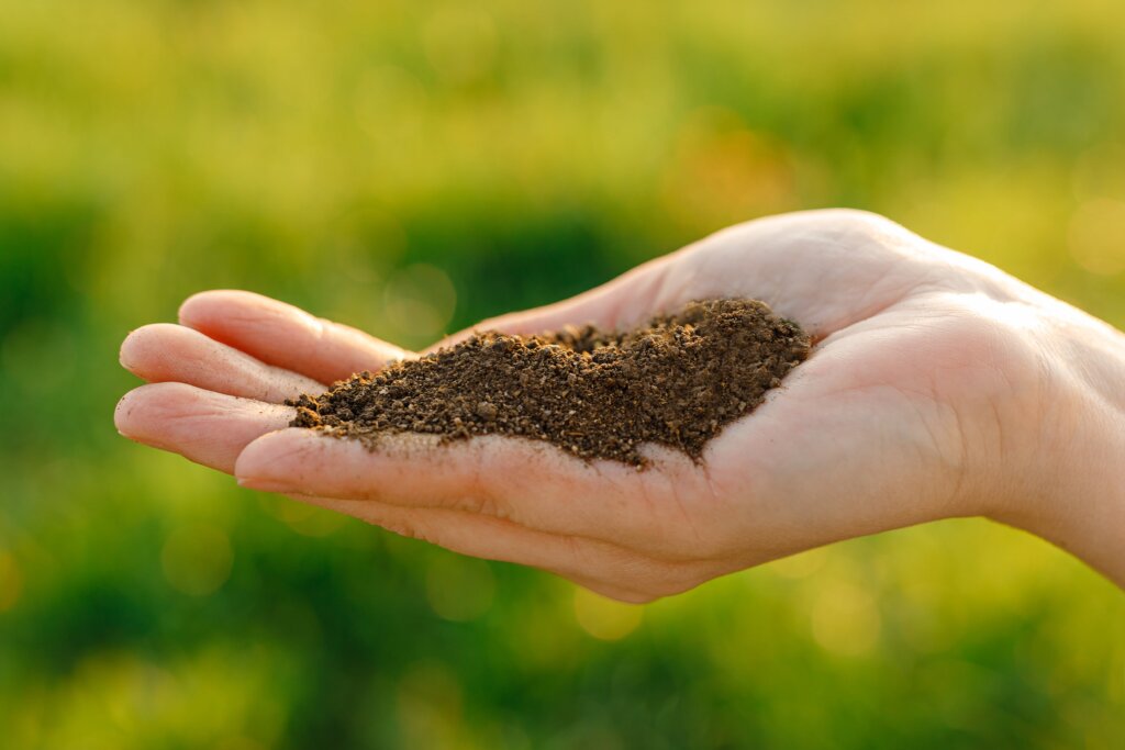 A hand holds a small mound of dark, rich soil against a blurred green background, representing the crucial first step in learning how to use fertilizer.