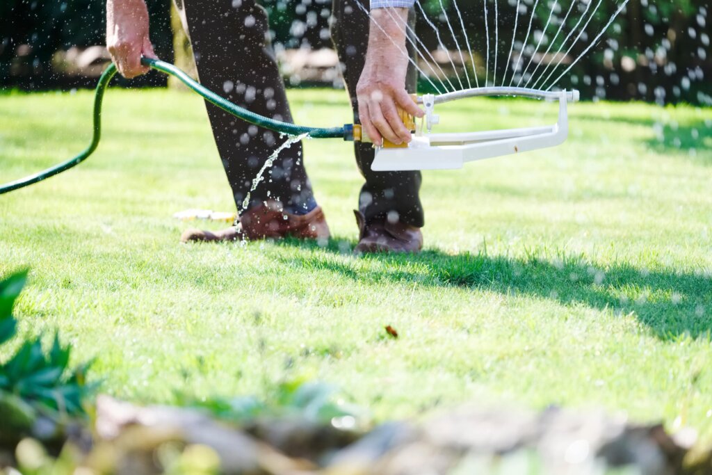 A person connecting a garden hose to a lawn sprinkler on a bright green lawn, a critical step when considering the question, should you water your lawn after fertilizing.