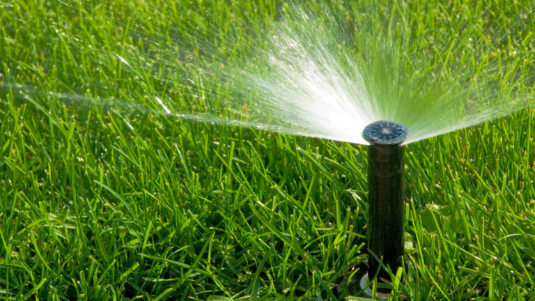 Automatic sprinkler head watering a lush green lawn, demonstrating an effective irrigation system, which is essential after fertilizing for a healthy and well-maintained lawn.