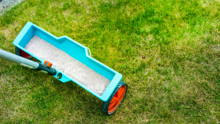 A lawn spreader filled with 15-15-15 granular fertilizer ready to be applied on a lush green lawn, showcasing the practical use of balanced fertilizer for optimal plant nutrition in Collegeville, PA.