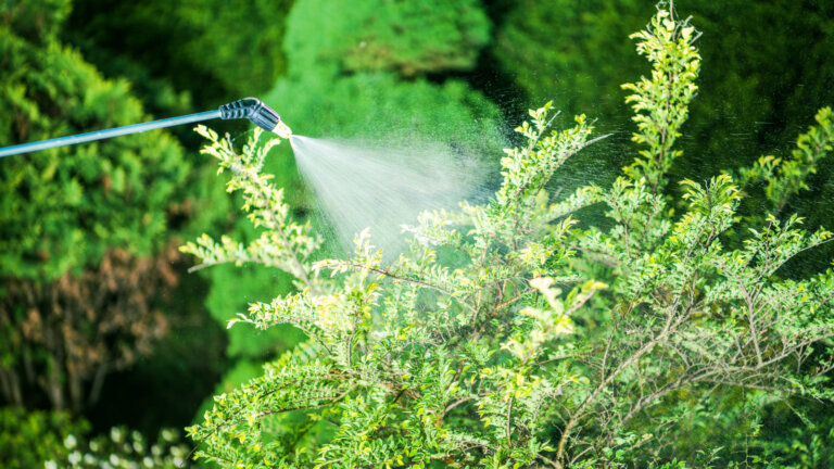 A garden hose with a spray attachment distributing slow-release liquid fertilizer onto a lush garden, demonstrating an effective lawn care practice in Collegeville, PA.