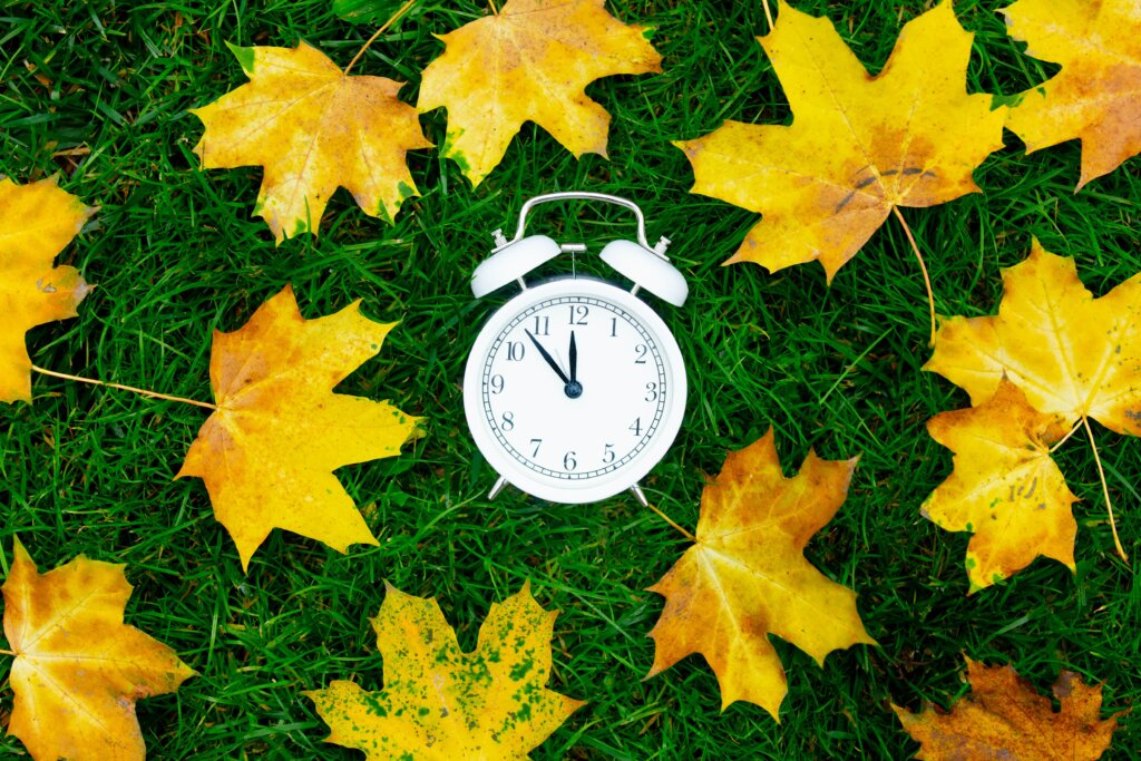 A white alarm clock is placed in the center of a green lawn and surrounded by bright yellow maple leaves, indicating the question of when should I fertilize my lawn in the fall.
