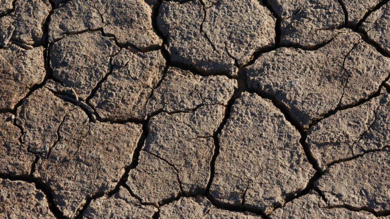 Close-up of parched, cracked earth texture, emphasizing the challenging conditions of hard dirt for planting grass seed, relevant to an article about transforming such soil into a lush, green lawn.