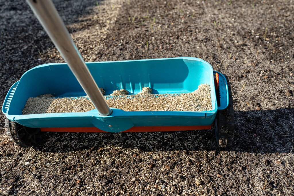 A close-up of a blue walk-behind spreader filled with grass seed and granular material, positioned on bare soil, showing the application of lawn starter fertilizer.