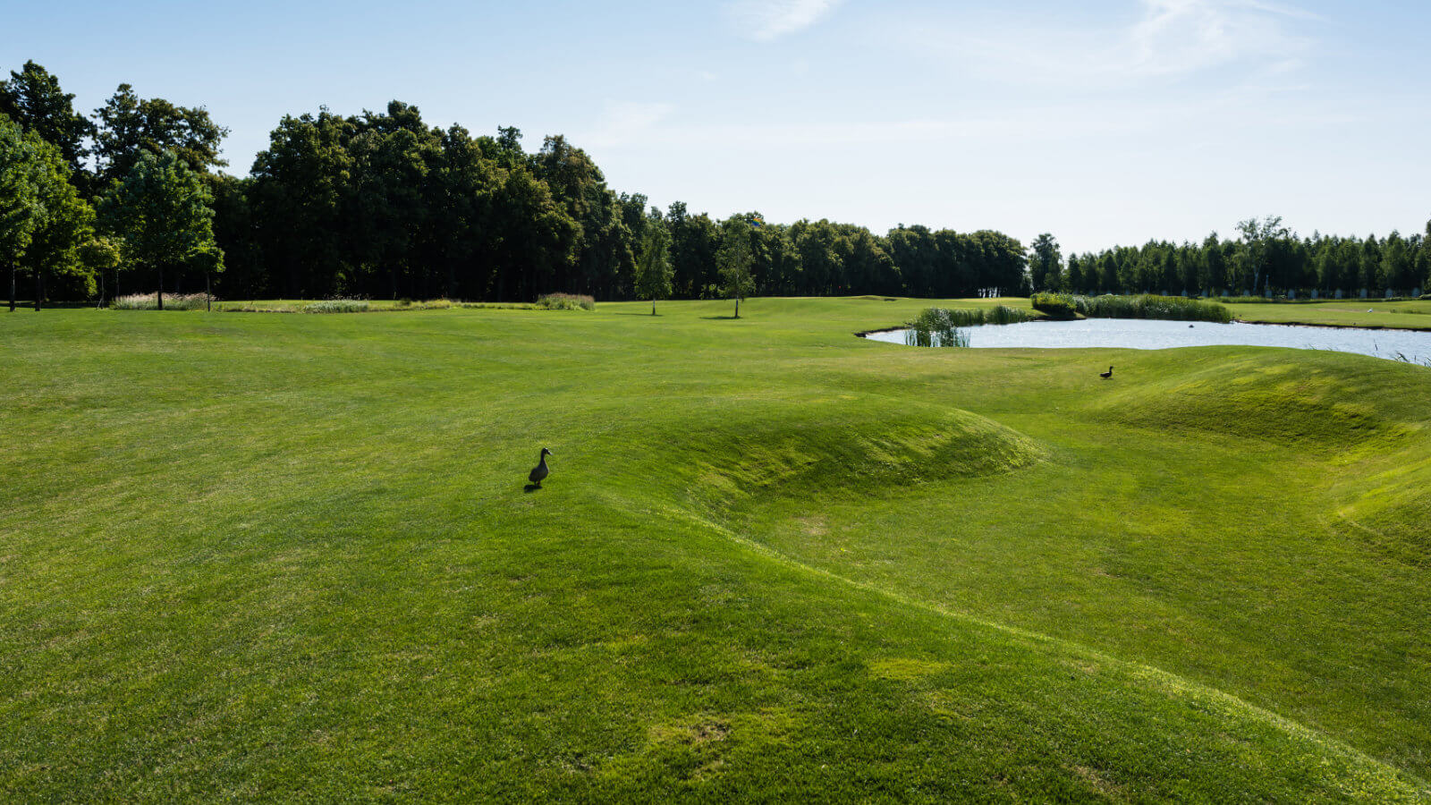 Lawn Care & Lawn Fertilizing in Phoenixville