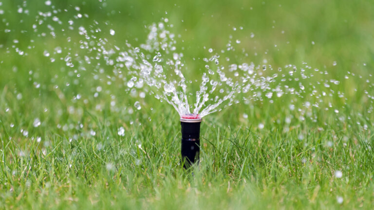 Sprinkler watering lush green lawn, essential for new grass seed growth.