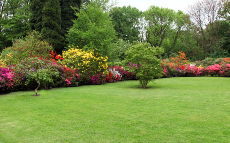 A showcase of Terra Lawn Care's excellence in Chester County, with healthy, verdant turf and a diverse array of flourishing, colorful bushes.