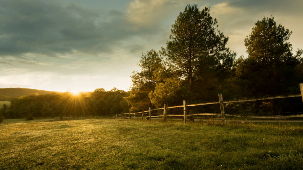 A golden hour glow bathes a lush field, rustic fence, and rolling hills, with mature trees under a clear sky with scattered clouds, evoking rural tranquility
