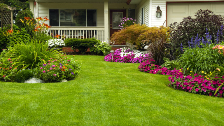 expert lawn care services in Pennsylvania by Terra Lawn Care Specialists