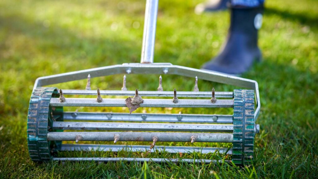 Close-up of a manual spike lawn aerator on grass, an example of a less effective aeration method compared to core aeration
